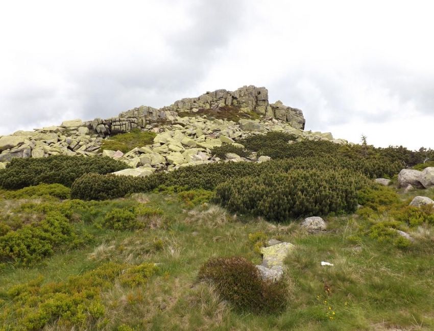 Śnieżka, Łabski Szczyt